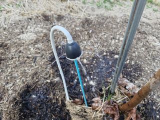 자연애 대풍농장님의 기타작물 · 영농일지 작성글 사진