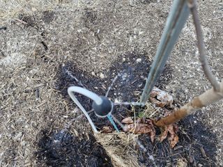 자연애 대풍농장님의 기타작물 · 영농일지 작성글 사진