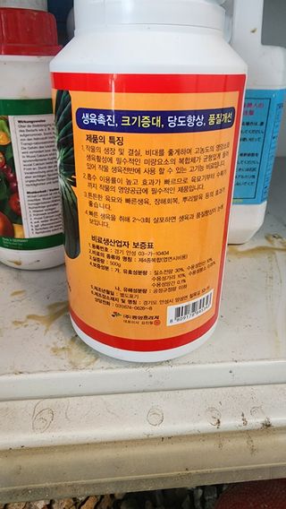 준우아빠님의 오이 · 영농일지 작성글 사진