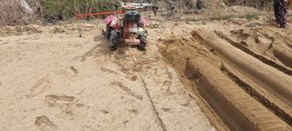 박사원농장님의 기타작물 · 영농일지 작성글 사진