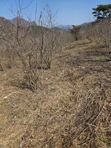 팜모닝 기타작물·영농일지 게시글 이미지