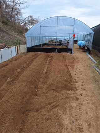 마늘25328님의 기타작물 · 영농일지 작성글 사진