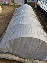 팜모닝 기타작물·영농일지 게시글 이미지