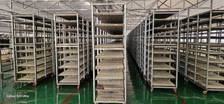 양태종님의 기타작물 · 영농일지 작성글 사진