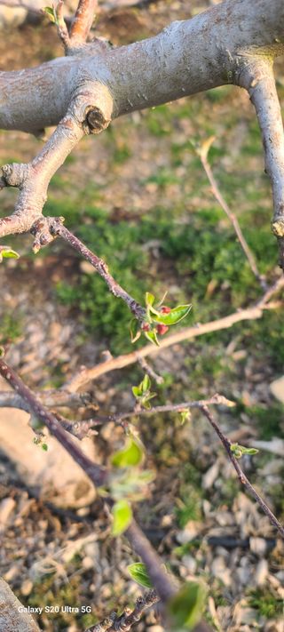 자연자유님의 기타작물 · 영농일지 작성글 사진