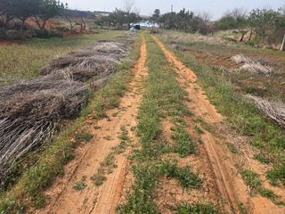 김영복 19146님의 기타작물 · 영농일지 작성글 사진