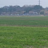 팜모닝 기타작물·영농일지 게시글 이미지