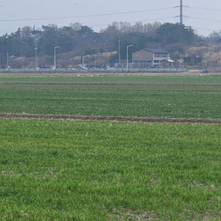 전준식님의 기타작물 · 영농일지 작성글 사진
