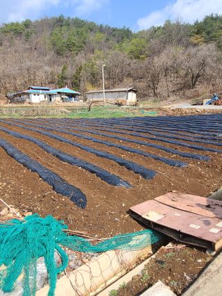 신경여님의 기타작물 · 영농일지 작성글 사진
