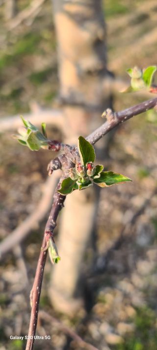 자연자유님의 기타작물 · 영농일지 작성글 사진