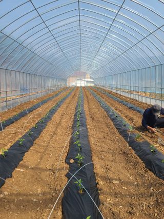 신경여님의 기타작물 · 영농일지 작성글 사진