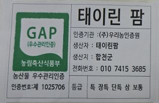 태이린팜님의 오이 · 영농일지 작성글 사진