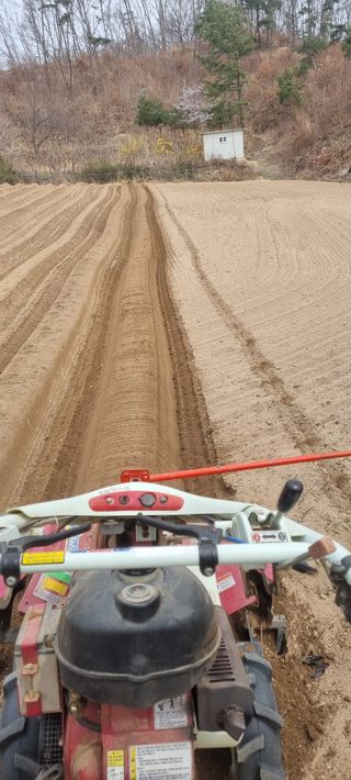 박사원농장님의 기타작물 · 영농일지 작성글 사진