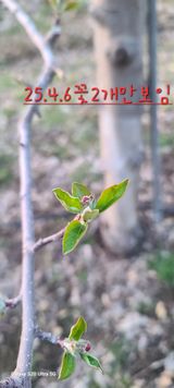 팜모닝 기타작물·영농일지 게시글 이미지