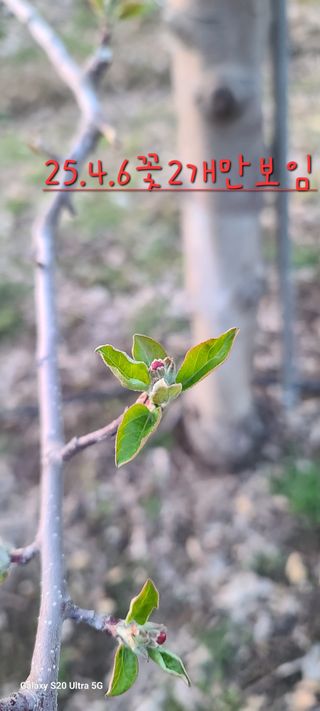 자연자유님의 기타작물 · 영농일지 작성글 사진