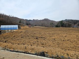 이석민님의 기타작물 · 영농일지 작성글 사진