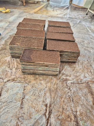 곰새끼님의 기타작물 · 영농일지 작성글 사진