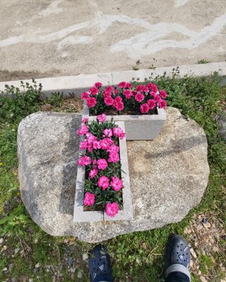 이영식님의 기타작물 · 영농일지 작성글 사진