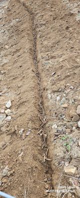 팜모닝 기타작물·영농일지 게시글 이미지