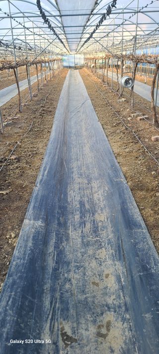 자연자유님의 기타작물 · 영농일지 작성글 사진