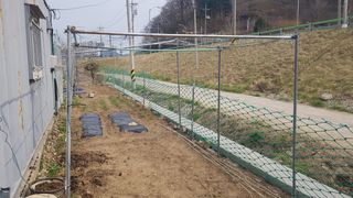 최춘득 청대산 님의 기타작물 · 영농일지 작성글 사진