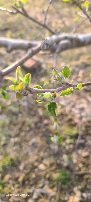 자연자유님의 기타작물 · 영농일지 작성글 사진