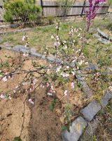 팜모닝 기타작물·영농일지 게시글 이미지