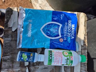 정진필님의 기타작물 · 영농일지 작성글 사진