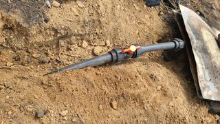 이동걸님의 두릅 · 영농일지 작성글 사진