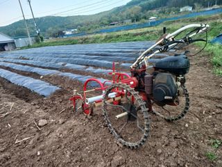 이정민님의 기타작물 · 영농일지 작성글 사진