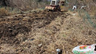 ogapiall님의 감자 · 영농일지 작성글 사진