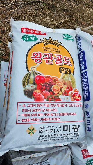 ogapiall님의 감자 · 영농일지 작성글 사진