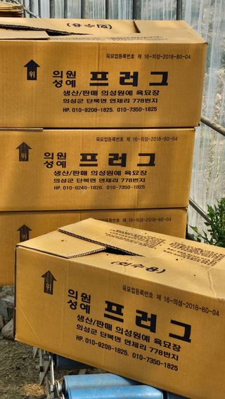 김명숙님의 오이 · 영농일지 작성글 사진