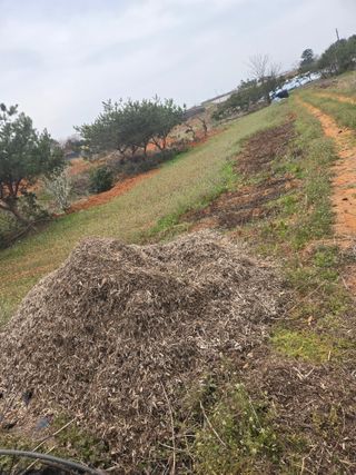 김영복 19146님의 기타작물 · 영농일지 작성글 사진