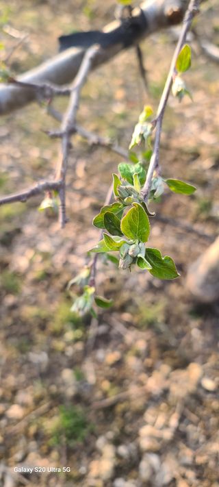자연자유님의 기타작물 · 영농일지 작성글 사진