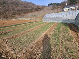 김주희님의 기타작물 · 영농일지 작성글 사진