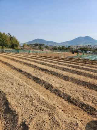 덕포킴님의 기타작물 · 영농일지 작성글 사진