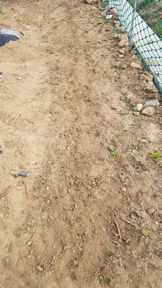 최춘득 청대산 님의 기타작물 · 영농일지 작성글 사진