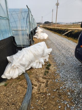 김저팔계님의 기타작물 · 영농일지 작성글 사진