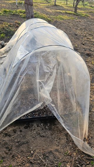 배성은365님의 호박 · 영농일지 작성글 사진