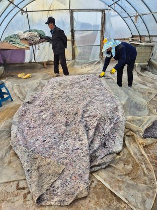 곰새끼님의 기타작물 · 영농일지 작성글 사진