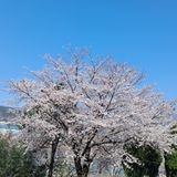 팜모닝 기타작물·영농일지 게시글 이미지