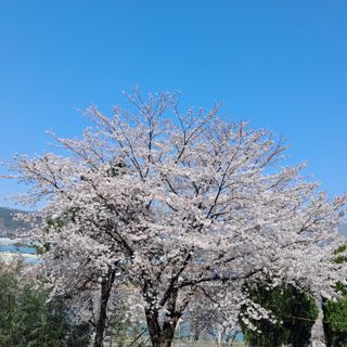 윤종신님의 기타작물 · 영농일지 작성글 사진