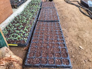 김홍중님의 기타작물 · 영농일지 작성글 사진