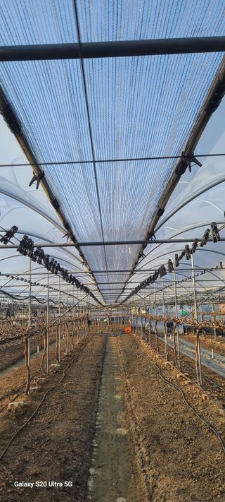 자연자유님의 기타작물 · 영농일지 작성글 사진