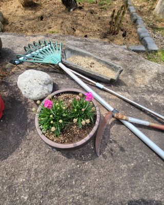 이영식님의 기타작물 · 영농일지 작성글 사진