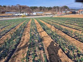 김동규 님의 기타작물 · 영농일지 작성글 사진