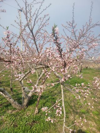 순s농장님의 기타작물 · 영농일지 작성글 사진