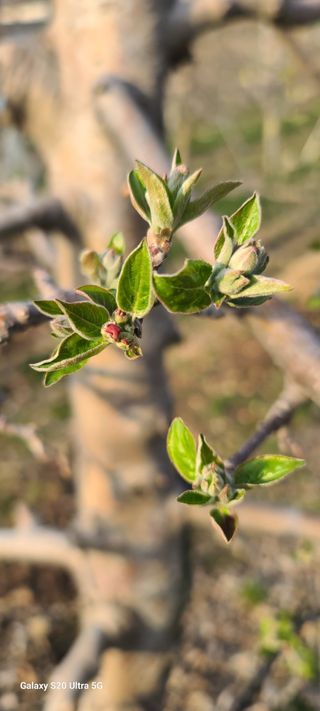 자연자유님의 기타작물 · 영농일지 작성글 사진