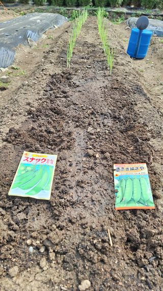 이은명님의 기타작물 · 영농일지 작성글 사진